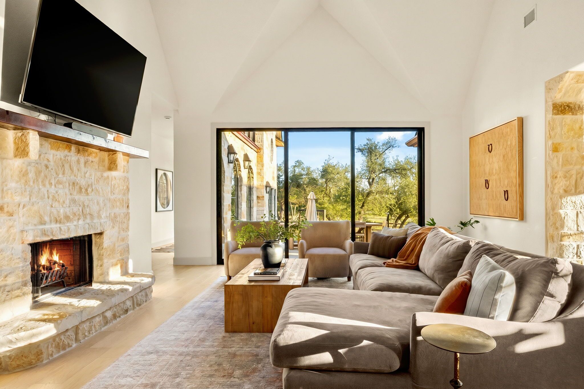 Smart TV, fireplace, books, offices