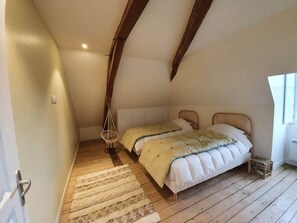 3 bedrooms, iron/ironing board, WiFi, bed sheets - T4 Duplex des Montains - Hyper Centre Loches (Loches)