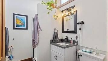 Shower, hair dryer, towels