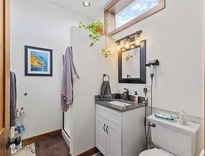 Shower, hair dryer, towels