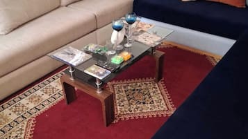 Smart TV, fireplace, books