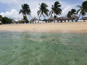Una playa con agua cristalina, palmeras y cabañas de techo de paja.