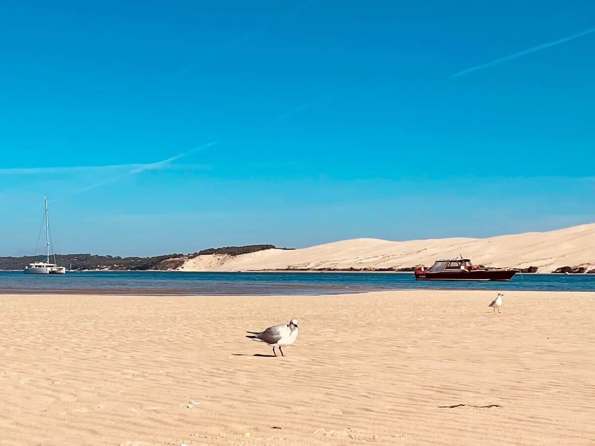 Strand