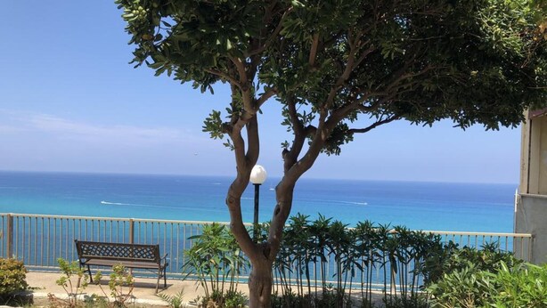 A tree with a lamp post, a bench, and a view of the ocean. - Corallo (Tropea)