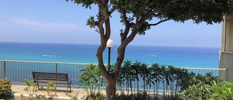 コンフォート アパートメント バルコニー ビーチビュー | 施設の敷地