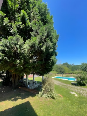A pool area with a clear blue sky, surrounded by lush greenery and trees.
