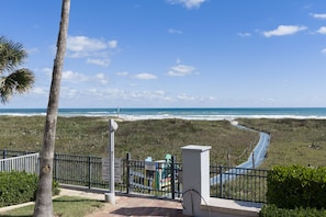 A coastal view with a paved walkway, palm trees, and a beach in the background. - Beachfront Gem with Pool, Hot tub, Gym (South Padre Island)
