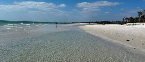 Chaises longues, serviettes de plage