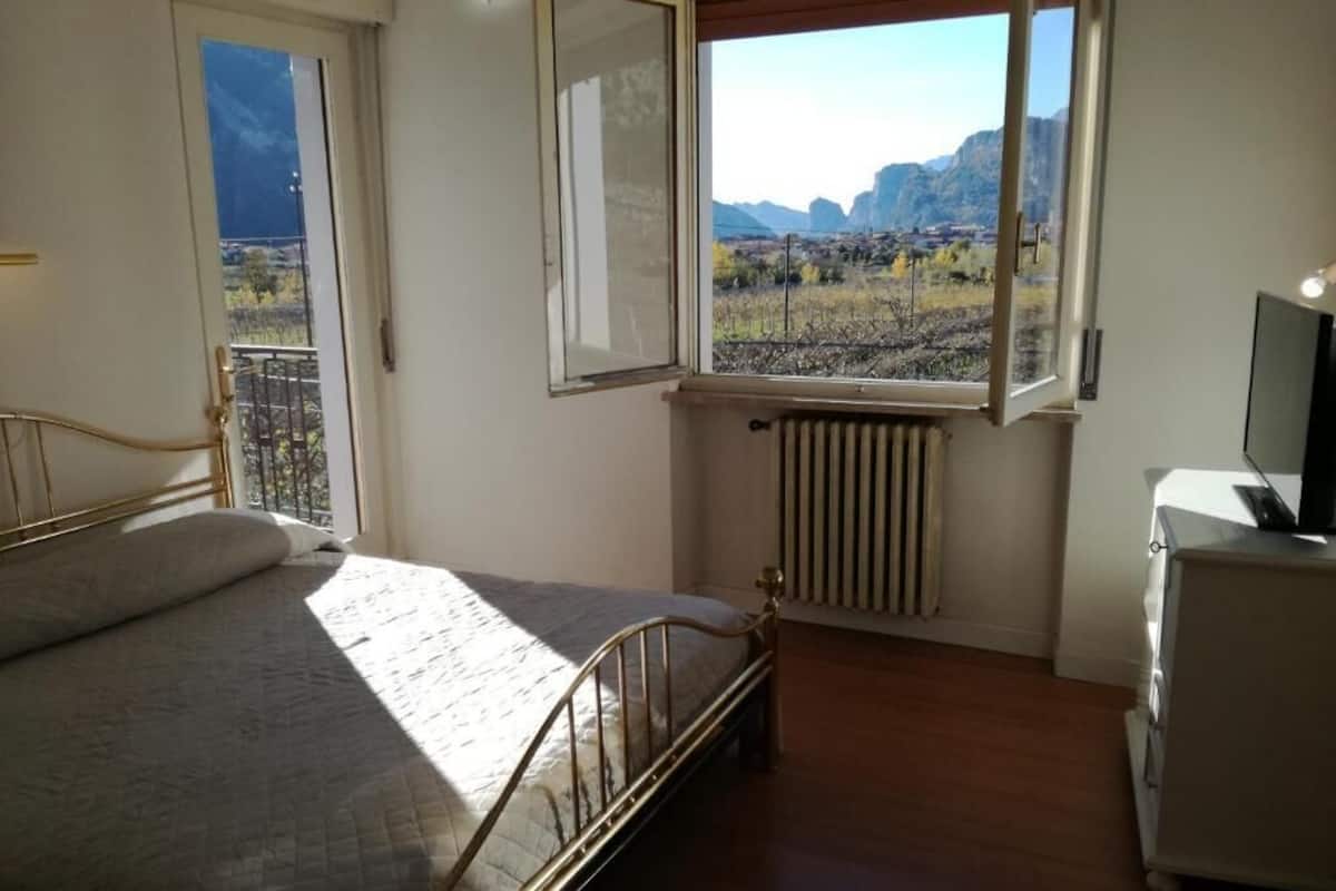 A bedroom with a bed, a radiator, a TV, and a window with a view of mountains.
