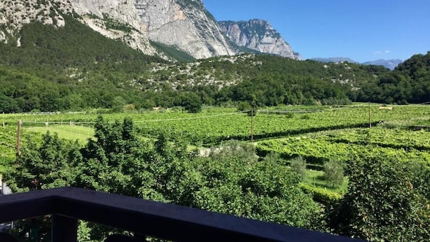 A vineyard with a mountain backdrop. - Aktiv Hotel Eden (Dro)