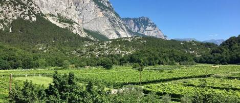 Triple Room, Balcony, Mountain View | Property grounds
