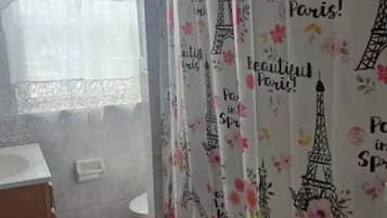 Séchoir à cheveux, bidet, serviettes fournies, savon