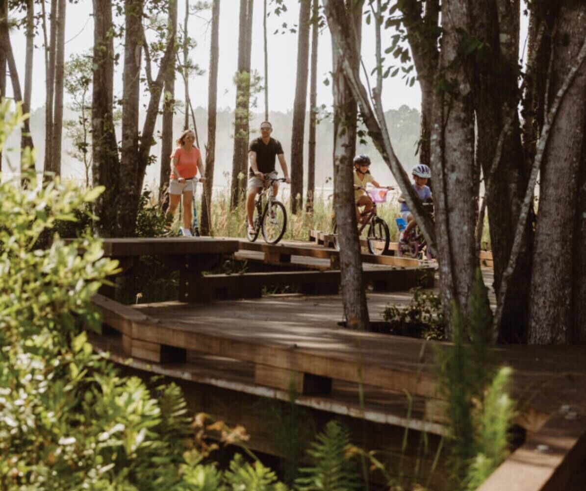 Une terrasse en bois avec des marches, entourée d’arbres.