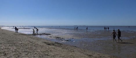 Tæt på stranden