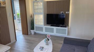 Televisión y chimenea