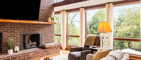 Smart TV, fireplace, books