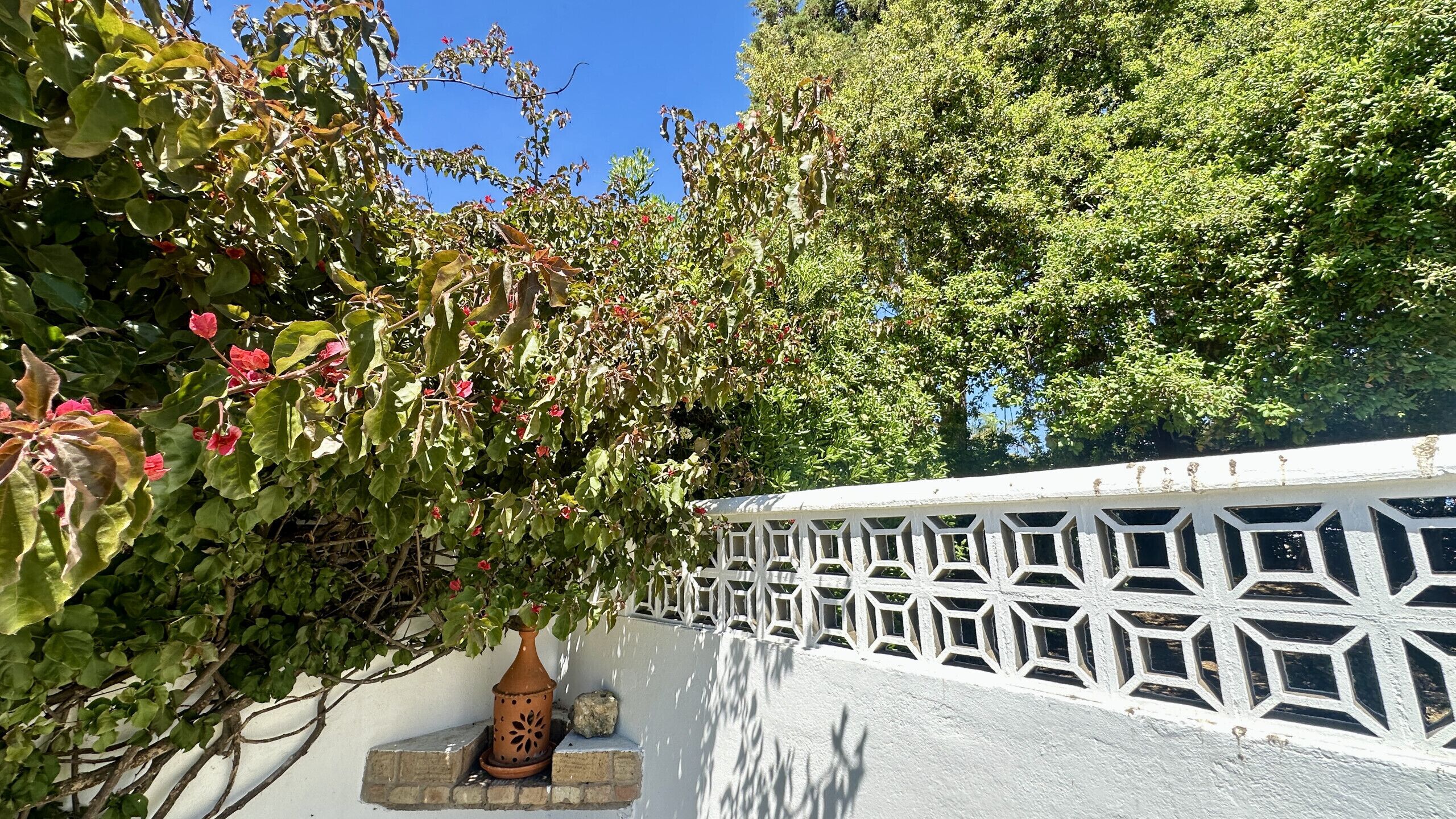 A white fence with geometric patterns, a terracotta pot, and green foliage.
