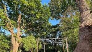 Eine Holz-Pergola mit Tisch und Stühlen, umgeben von Bäumen und einem klaren Himmel.
