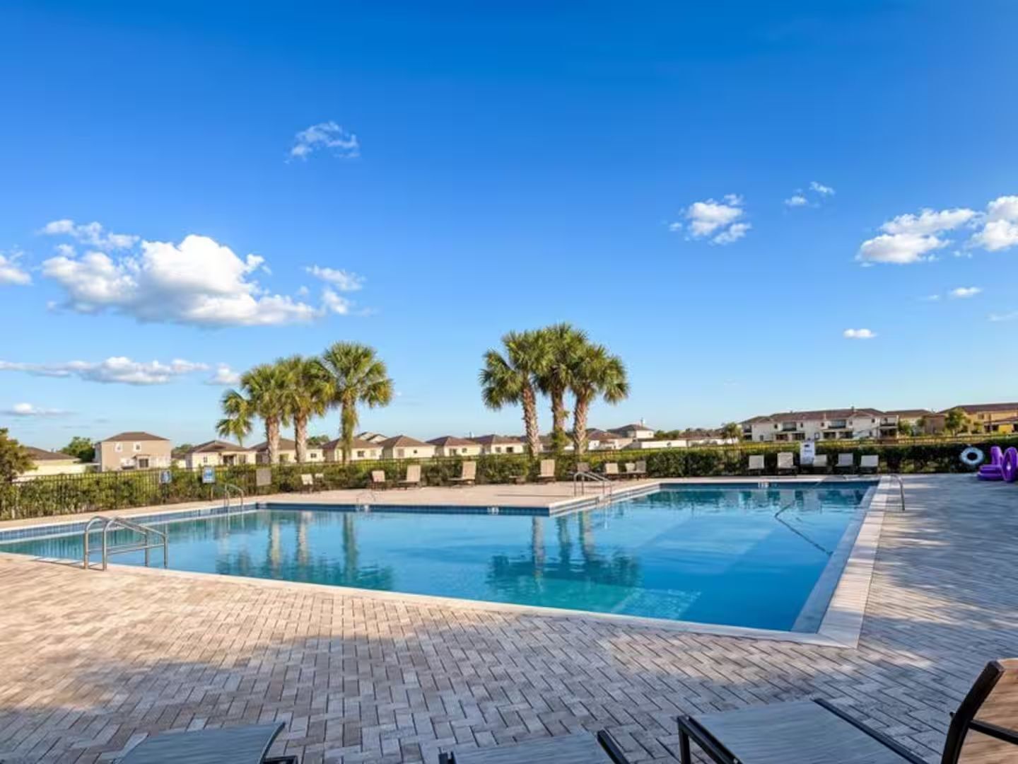 A rectangular swimming pool with a tiled deck, surrounded by palm trees and a row of houses in the background.