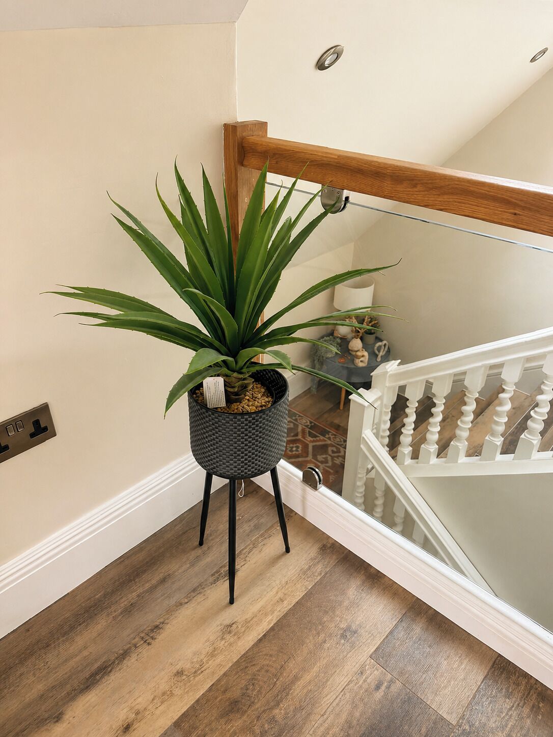 Un escalier avec une main courante en bois et une balustrade en verre, une plante en pot posée sur un petit tabouret, et un mur blanc avec un interrupteur.