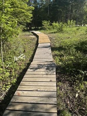 A wooden boardwalk through a forested area.