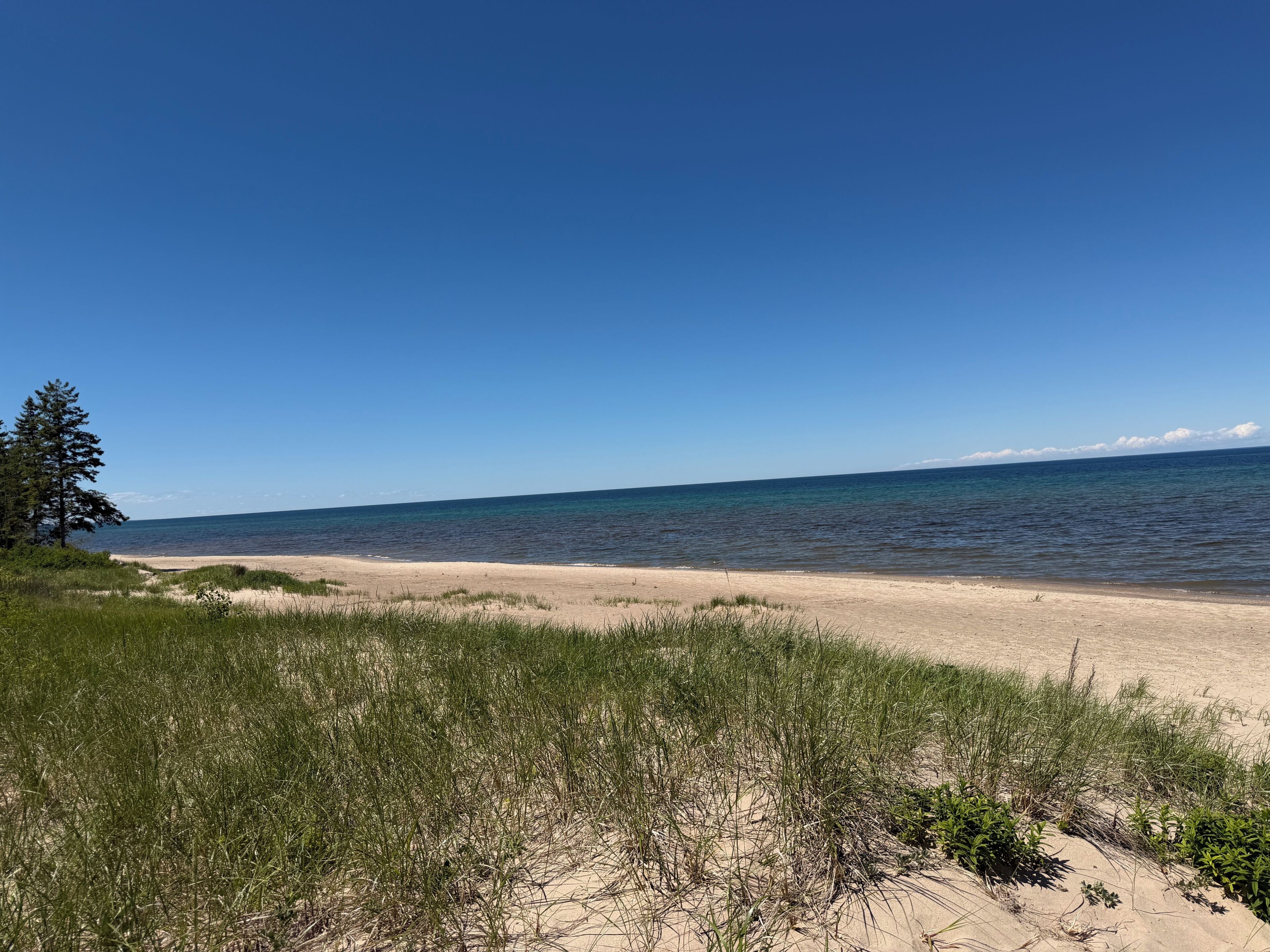 Une plage avec des dunes de sable et une végétation clairsemée.