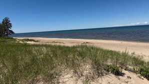 En strand med sanddyner och gles vegetation.