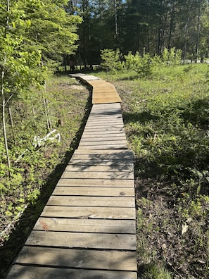 Puinen kävelyreitti, joka kulkee metsäisen alueen läpi.