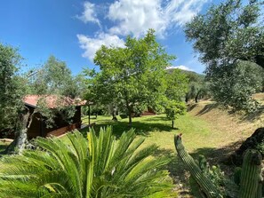 Property grounds - Bungalow 'Giardini di Margis' with Sea View, Wi-Fi and Air Conditioning (Itri)