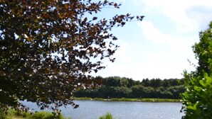 Une zone herbeuse avec un plan d’eau et des arbres.