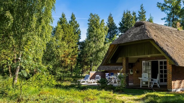 Ein rustikales Blockhaus mit einem Strohdach, umgeben von dichtem Wald.