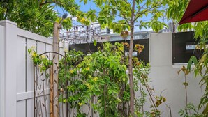 Ein weißer Metallzaun mit Kletterpflanzen und einem Baum.