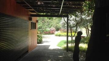 Área da propriedade