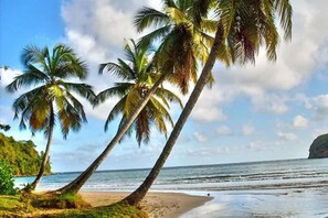 A beach with palm trees and a clear sky. - La Sagesse Bay View (St. David)
