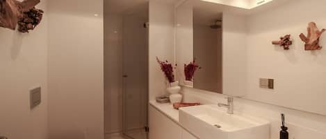 Shower, hair dryer, towels