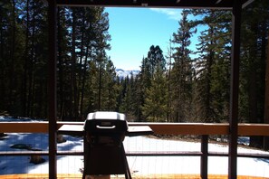 Property grounds - Unplug in the Forest! Pine Light Cabin near Vallecito Lake (Bayfield)