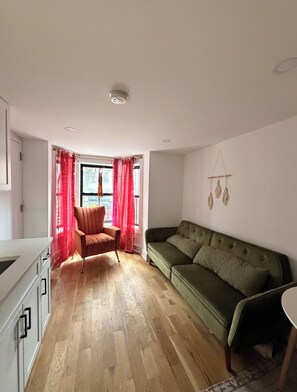 Living area - Cozy Brooklyn 1BR with Lush Backyard. Sleeps 4. Near L & J ,30 mins to manhattan (Brooklyn)