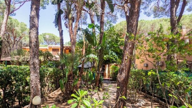 Un jardin avec des arbres, un sentier et un bâtiment en arrière-plan.