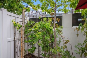 Ein weißer Metallzaun mit Kletterpflanzen und einem Baum.