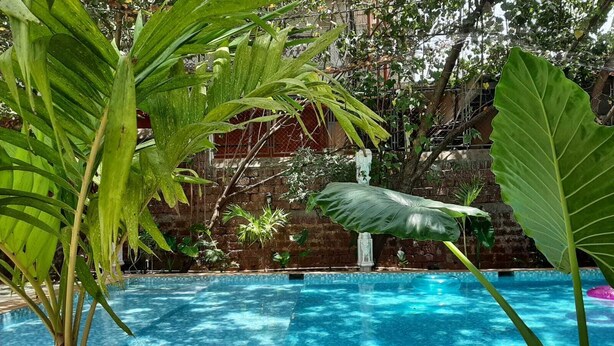 En swimmingpool omgiven av frodig grönska och en mur av tegelsten.