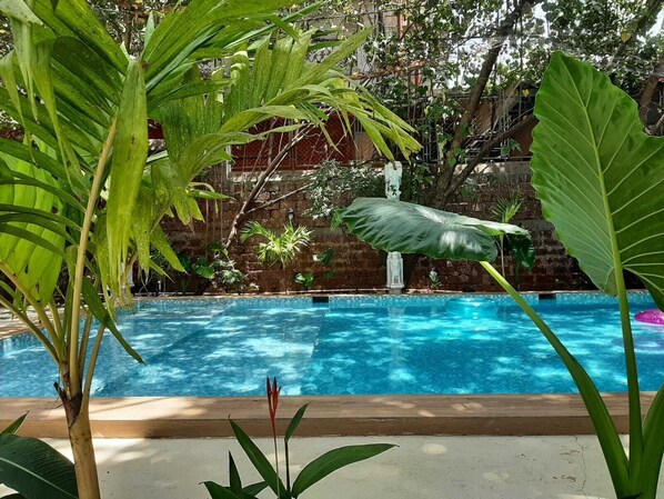 Pool - Anexx Goa (Vagator)