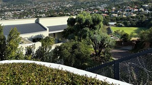 Un quartier résidentiel avec une montagne imposante en arrière-plan, des maisons aux toits inclinés et un beau parterre bien entretenu au premier plan.