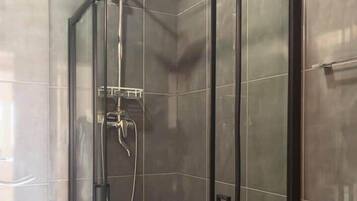 Shower, hair dryer, soap, toilet paper