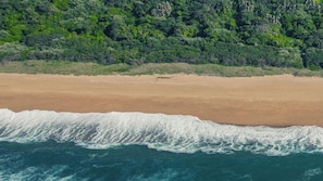 A beach with a forested area in the background.