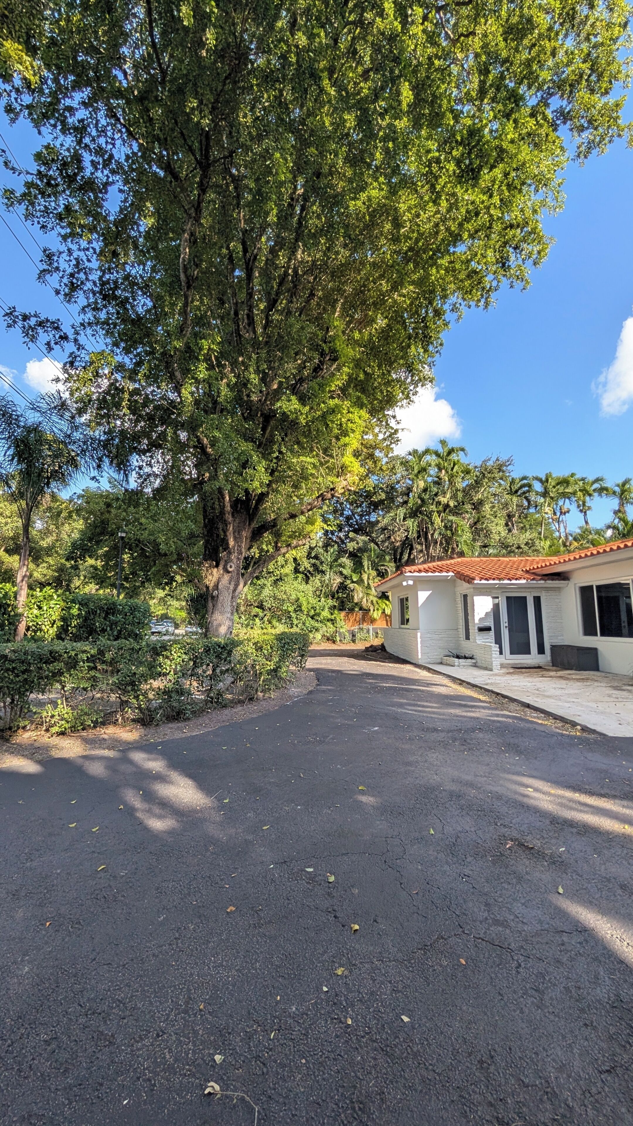 A paved driveway leading to a building with a tiled roof, surrounded by lush greenery and trees.