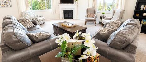 TV, fireplace, offices