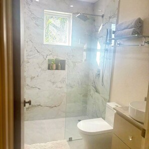 A bathroom with a shower, toilet, and a small shelf with a plant. - Cazuria - by Zenbreak (Newbury)