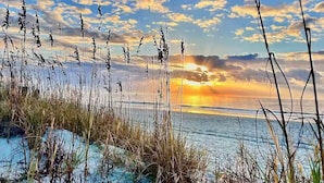 Eine Küstenlandschaft mit hohem Gras, einem Sonnenuntergang und ruhiger See.