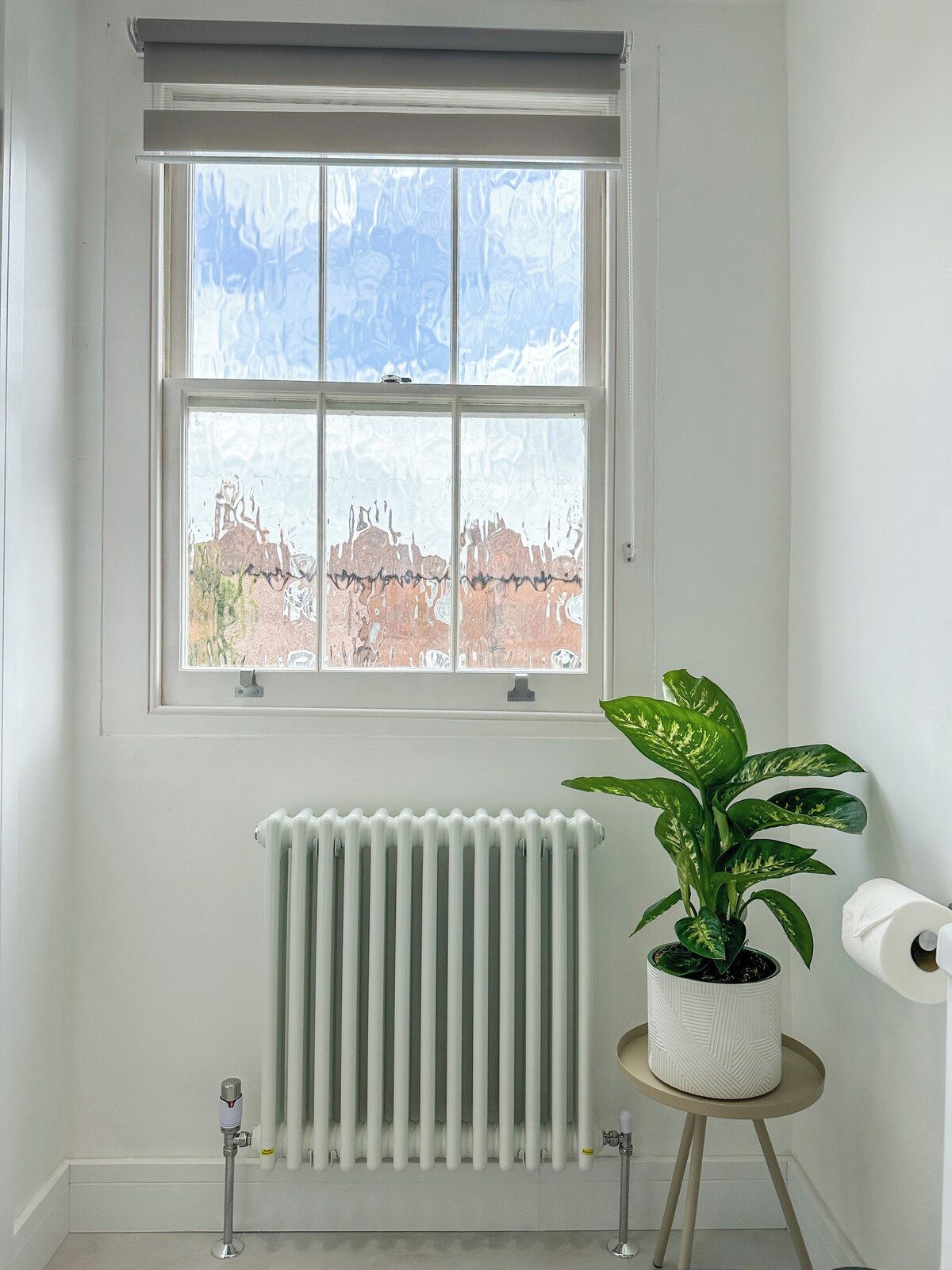 A room with a white radiator, a window with a view of a building, and a potted plant on a small table.