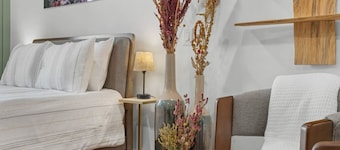 Cozy Main St Studio - Penn Yan